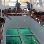 Glass Boat in Sharm El Sheikh – Red Sea Excursion glass-boat-sharm-el-sheikh-star-khattabych-tours