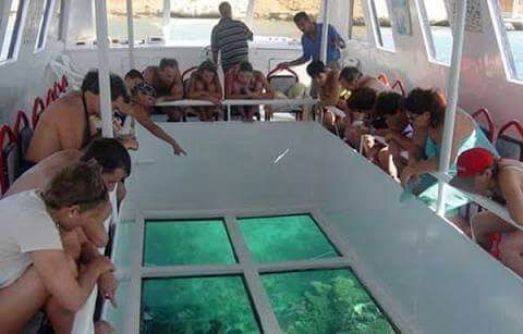 Glass Boat in Sharm El Sheikh – Red Sea Excursion glass-boat-sharm-el-sheikh-star-khattabych-tours Glass Boat in Sharm El Sheikh – Red Sea Excursion glass-boat-sharm-el-sheikh-star-khattabych-tours