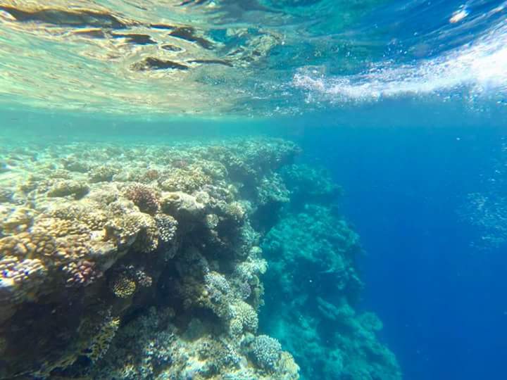 Ras Mohammed National Park by bus star khattabych tours Ras Mohammed National Park by bus star khattabych tours