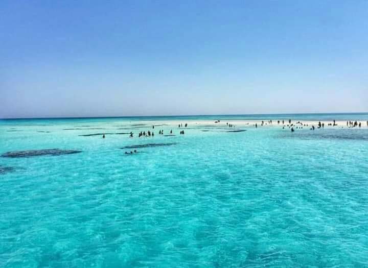 FB_IMG_1605884360241 ras-mohammed-and-white-island-diving-available/