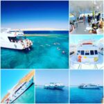ras-mohammed-and-white-island-diving-available/