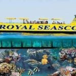 Explore the colorful underwater world of the Red Sea aboard the Sea Scope semi-submarine in Sharm El Sheikh. star khattabych tours
