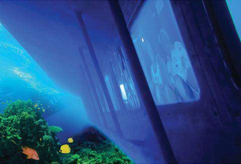 Sharm-El-Sheikh- 11....kattabych-tours submarin2025 Батискаф Explore the colorful underwater world of the Red Sea aboard the Sea Scope semi-submarine in Sharm El Sheikh. star khattabych tours