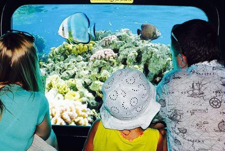 Sharm-El-Sheikh- 1[[[1kattabych-tours submarin2025 Батискаф Explore the colorful underwater world of the Red Sea aboard the Sea Scope semi-submarine in Sharm El Sheikh. star khattabych tours