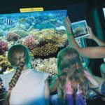 Explore the colorful underwater world of the Red Sea aboard the Sea Scope semi-submarine in Sharm El Sheikh. star khattabych tours