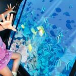 Explore the colorful underwater world of the Red Sea aboard the Sea Scope semi-submarine in Sharm El Sheikh. star khattabych tours
