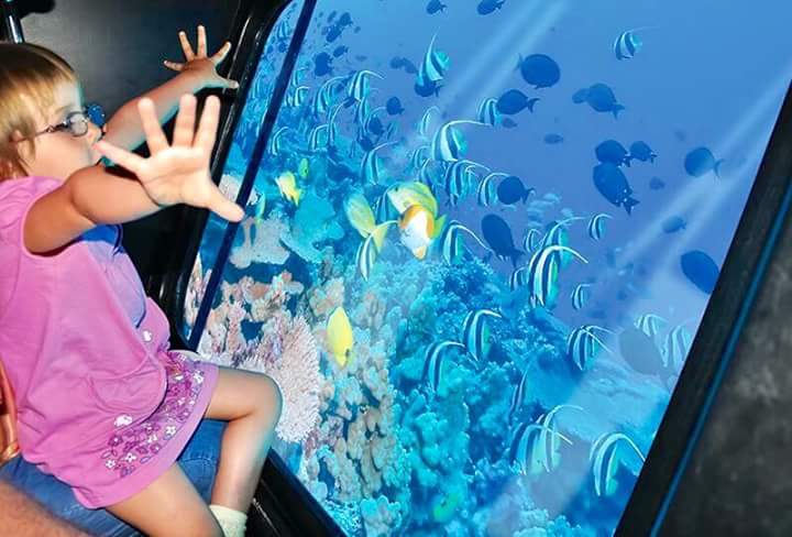 Sharm-El-Sheikh- 11kattabych-tours submarin2025 Батискаф dddd Explore the colorful underwater world of the Red Sea aboard the Sea Scope semi-submarine in Sharm El Sheikh. star khattabych tours