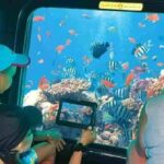 Explore the colorful underwater world of the Red Sea aboard the Sea Scope semi-submarine in Sharm El Sheikh. star khattabych tours