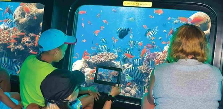 Sharm-El-Sheikh- 11kattabych-tours submarin2025 Батискаф iiii Explore the colorful underwater world of the Red Sea aboard the Sea Scope semi-submarine in Sharm El Sheikh. star khattabych tours