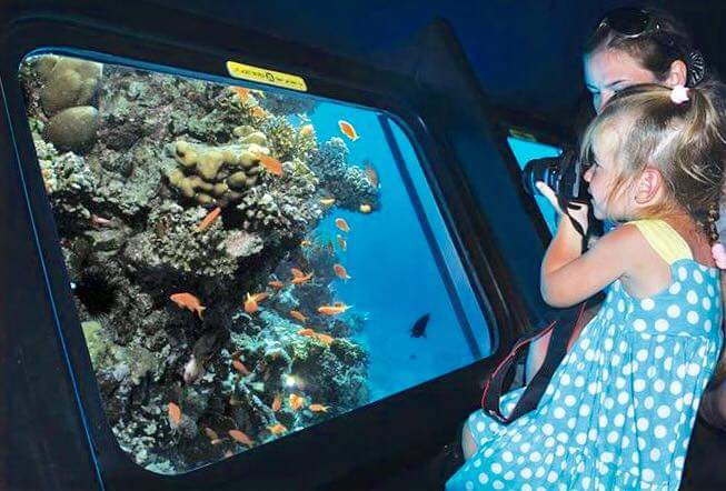 Sharm-El-Sheikh- 11kattabych-tours submarin2025 Батискаф sssa Explore the colorful underwater world of the Red Sea aboard the Sea Scope semi-submarine in Sharm El Sheikh. star khattabych tours