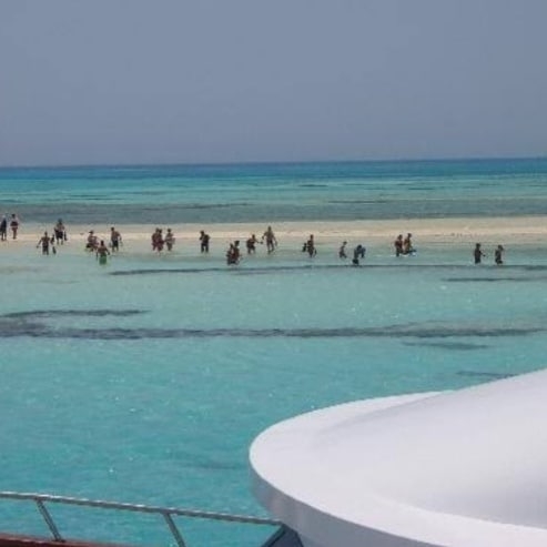 TopSaver10898842 ras-mohammed-and-white-island-diving-available/