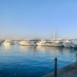 Romantic Dinner Cruise in Sharm El Sheikh with Live Show –By Star Khattabych Tours