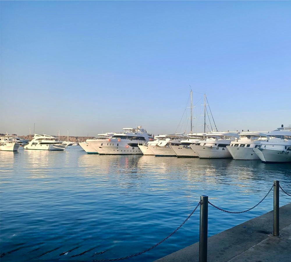 Romantic Dinner Cruise in Sharm El Sheikh with Live Show –By Star Khattabych Tours
