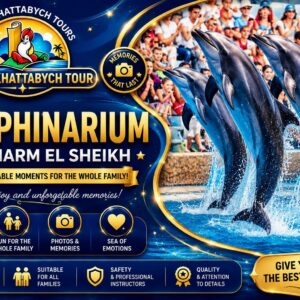 Dolphin show performance at Dolphinarium in Sharm El Sheikh * Star Khattabych Tours