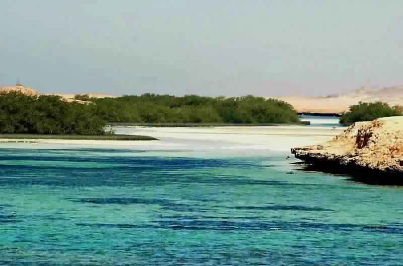 Ras Mohammed National Park by bus star khattabych tours Ras Mohammed National Park by bus star khattabych tours