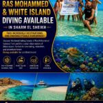 Luxury yacht trip to Ras Mohammed and White Island with snorkeling and diving in Sharm El Sheikh BY STAR KHATTABYCH TOURS