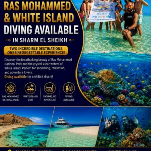 Luxury yacht trip to Ras Mohammed and White Island with snorkeling and diving in Sharm El Sheikh BY STAR KHATTABYCH TOURS