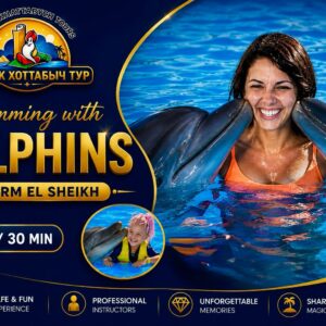 Swimming with dolphins in Sharm El Sheikh with Star Kattabych Tours