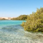 Ras Mohammed National Park by bus star khattabych tours