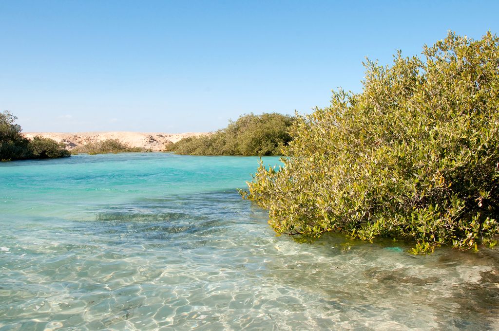 Ras Mohammed National Park by bus star khattabych tours Ras Mohammed National Park by bus star khattabych tours