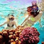 ras-mohammed-and-white-island-diving-available/