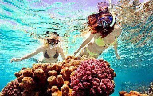 vip-yacht-ras-mohammed-star-khattabych4 ras-mohammed-and-white-island-diving-available/