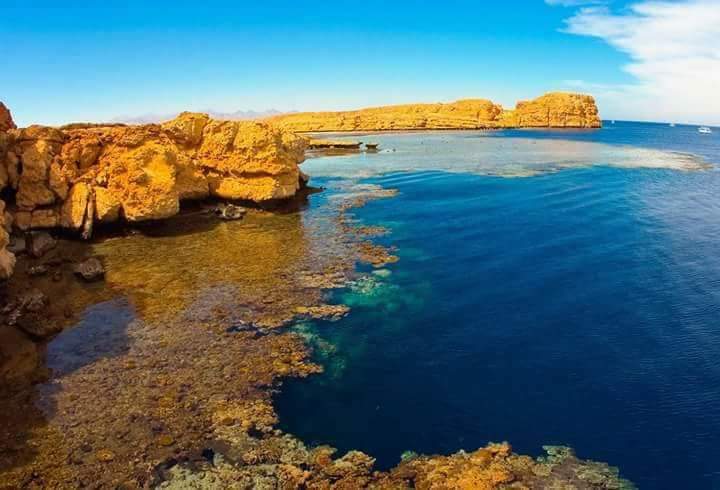 vip-yacht-ras-mohammed-star-khattabych5 ras-mohammed-and-white-island-diving-available/