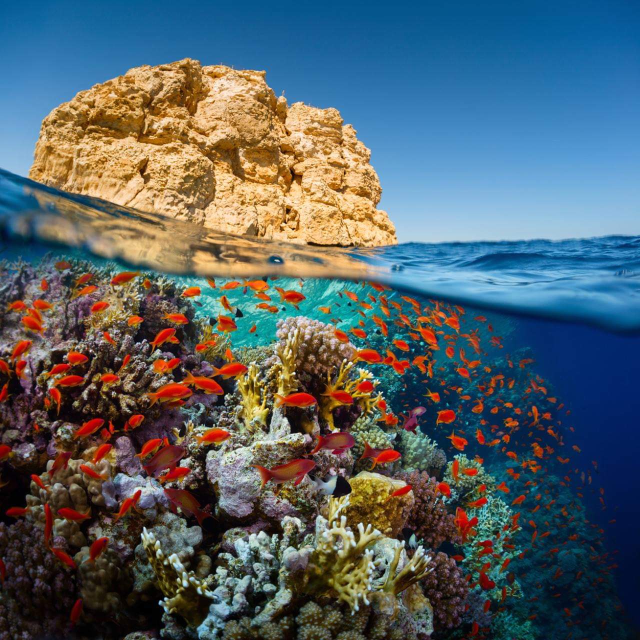 vip-yacht-ras-mohammed-star-khattabych6 ras-mohammed-and-white-island-diving-available/