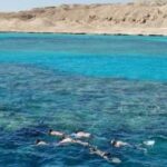 ras-mohammed-and-white-island-diving-available/
