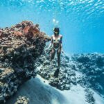 ras-mohammed-and-white-island-diving-available/