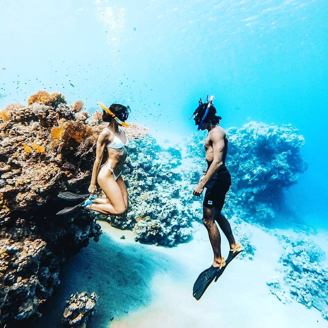 white-island-snorkeling-star-khattabych zz ras-mohammed-and-white-island-diving-available/