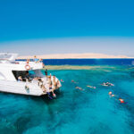 Tourists enjoying a luxury yacht excursion to Ras Mohammed National Park and White Island in Sharm El Sheikh with snorkeling, diving, coral reefs, tropical fish, and crystal-clear Red Sea water. STAR KHATTABYCH TOURS