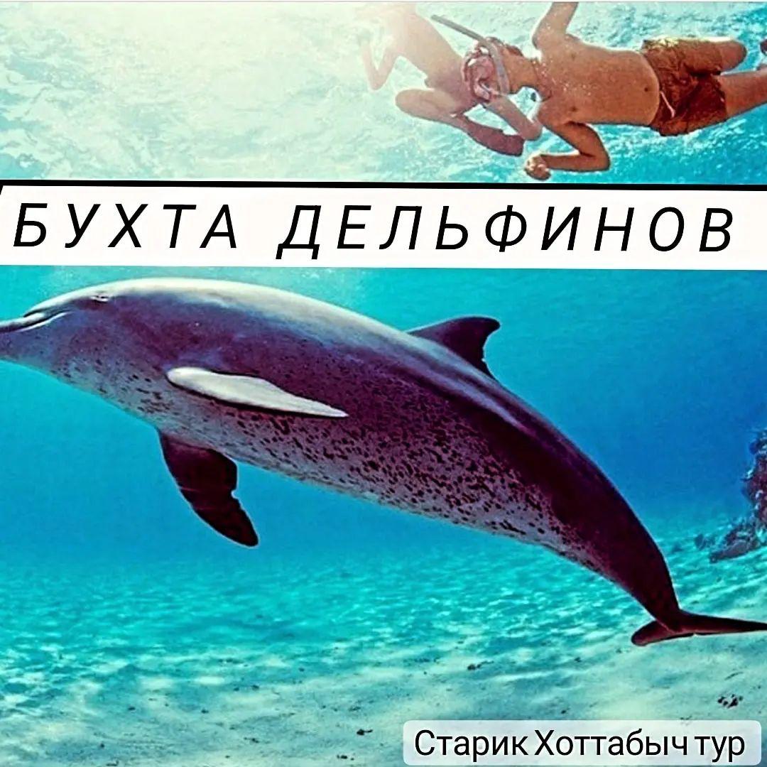 WhatsApp Image 2024-12-12 at 14.34.16_41c358c1