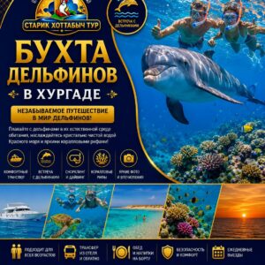 Бухта дельфинов в Хургаде и плавание с дельфинами