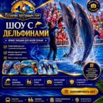 Дельфинарий и шоу дельфинов в Шарм-эль-Шейхе