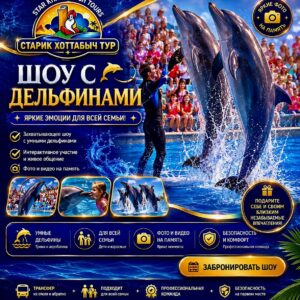 Дельфинарий и шоу дельфинов в Шарм-эль-Шейхе