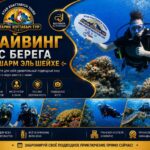 Дайвинг с берега Шарм Эль Шейха star khattabych tours