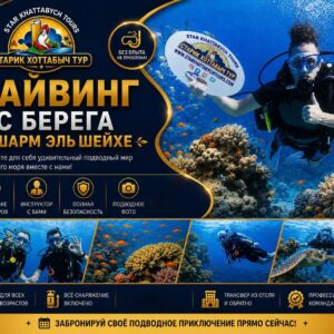 Дайвинг с берега Шарм Эль Шейха star khattabych tours