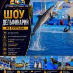 Шоу дельфинарий из Хургады 1 Шоу дельфинарий из Хургады by Star Khattabych Tours 2019