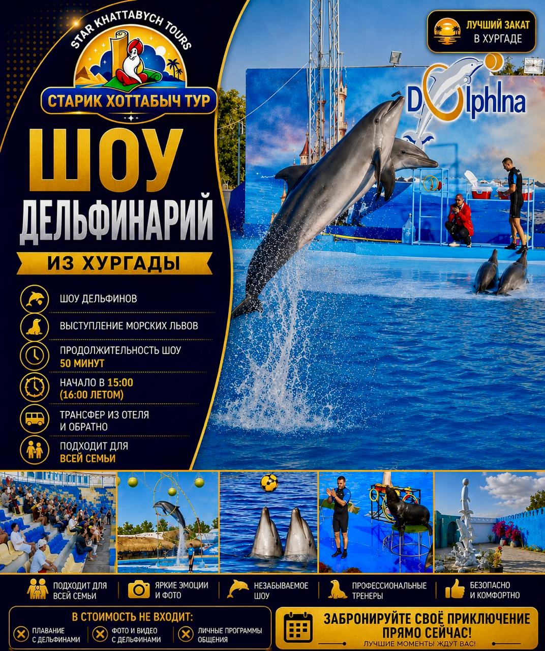Шоу дельфинарий из Хургады by Star Khattabych Tours Шоу дельфинарий из Хургады by Star Khattabych Tours 2019