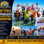 Прогулка на лошадях с купанием в море 1 Прогулка на лошадях с купанием в море by star khattabych tours