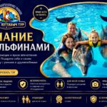Купание с дельфинами из ШАРМ ЭЛЬ ШЕЙХА 1 Плавание с дельфинами в Шарм-эль-Шейхе для взрослых и детей