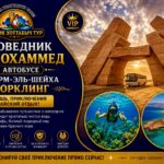 Заповедник Рас-Мохаммед на автобусе из Шарм-эль-Шейха | Снорклинг 1 Экскурсия в Рас Мохаммед на автобусе из Шарм-эль-Шейха