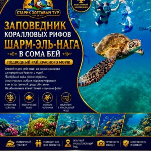 Заповедник коралловых рифов Шарм-эль-Нага в Сома Бей-star kattabych tours