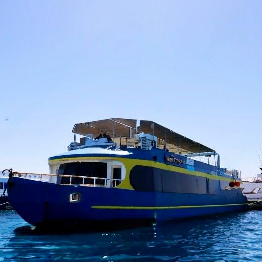 Батискаф + Сноркелинг в Хургаде by star khattabych tours 1 Батискаф + Сноркелинг в Хургаде by star khattabych tours