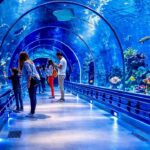 Гранд Аквариум в Хургад by Star Khattabych Tours