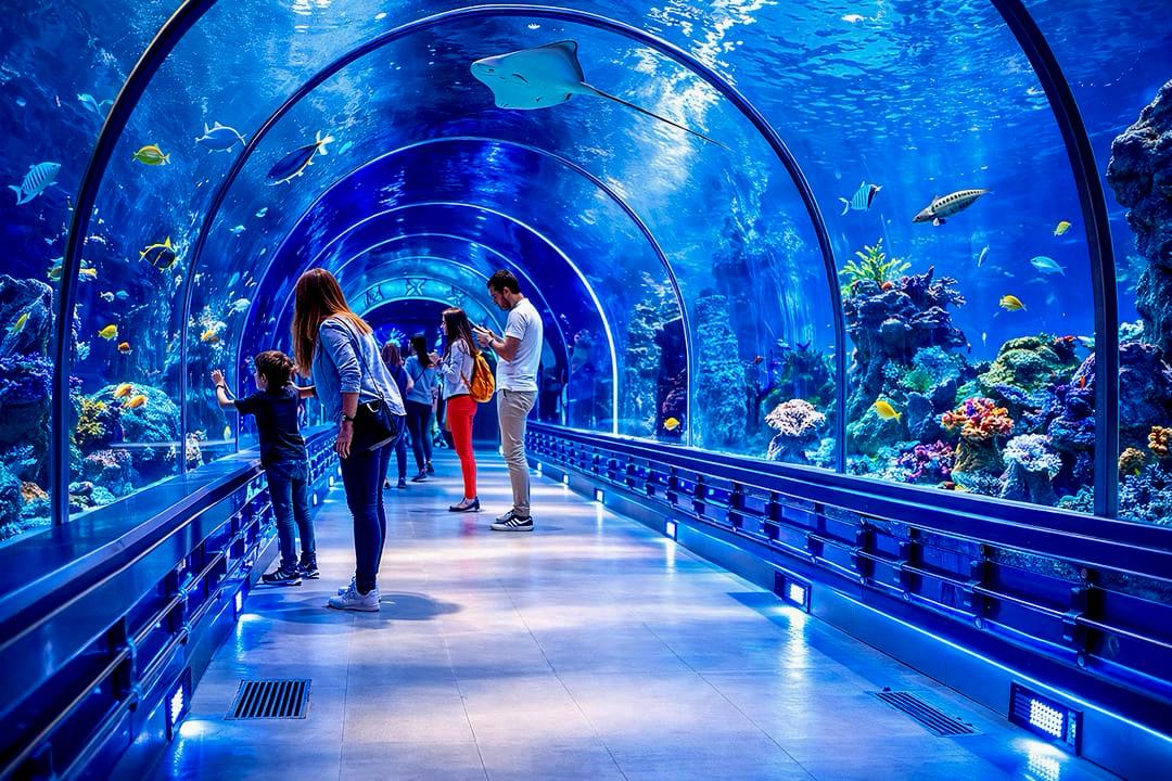 Гранд Аквариум в Хургад by Star Khattabych Tours