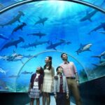 Гранд Аквариум в Хургад by Star Khattabych Tours