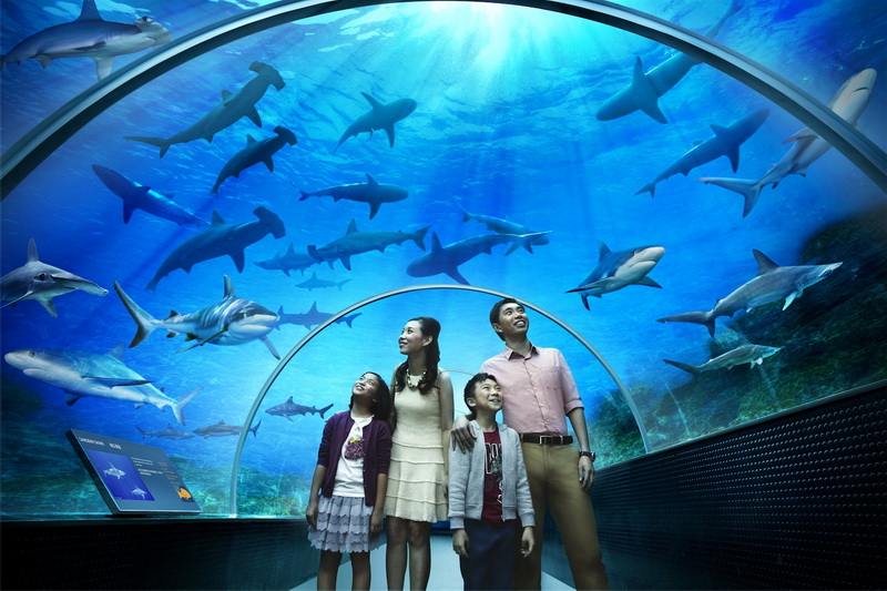 Гранд Аквариум в Хургад by Star Khattabych Tours