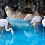 Гранд Аквариум в Хургад by Star Khattabych Tours